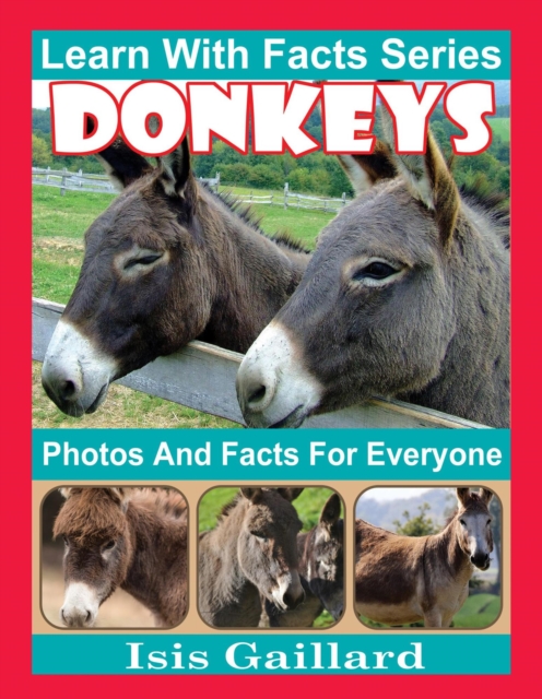 Donkeys Photos and Facts for Everyone