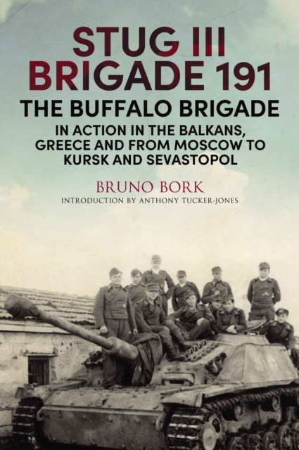StuG III Brigade 191, 1940-1945