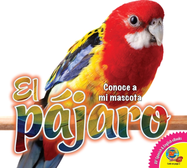 El pájaro