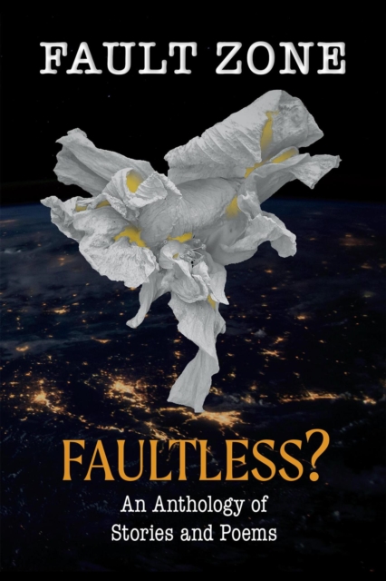 Fault Zone: Faultless?
