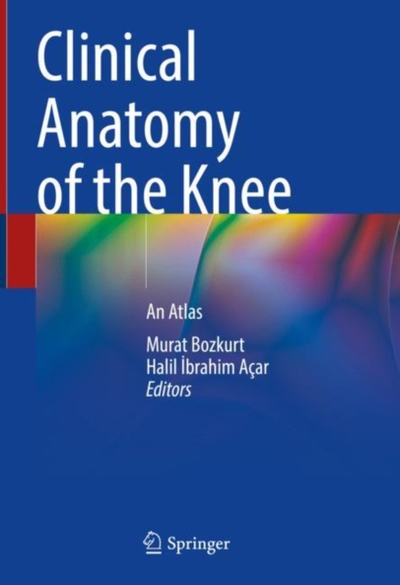 Arakelov Geometry and Diophantine Applications