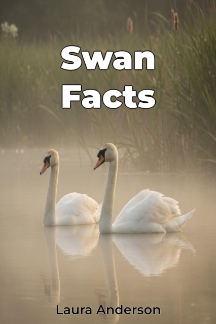 Swan Facts