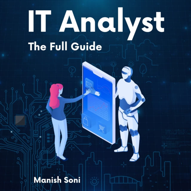 IT Analyst Internship