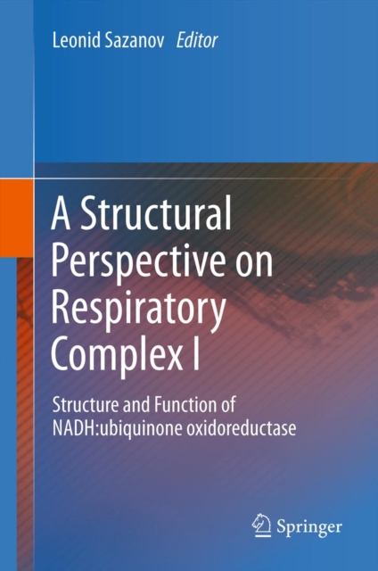 Structural Perspective on Respiratory Complex I