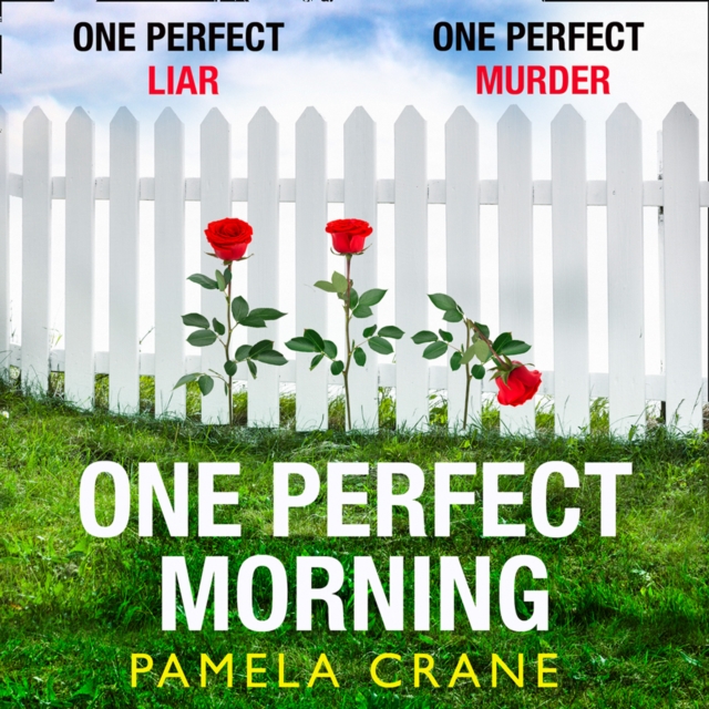 One Perfect Morning