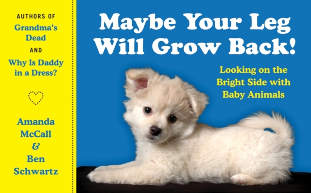 Maybe Your Leg Will Grow Back!
