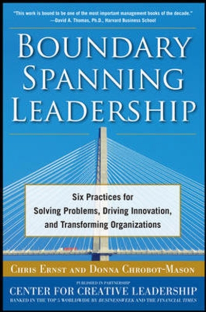 Boundary Spanning Leadership (PB)