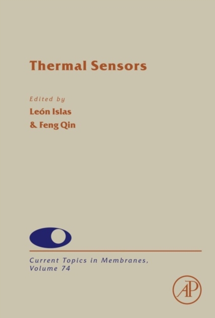 Modeling and Simulation of Heterogeneous Catalytic Processes