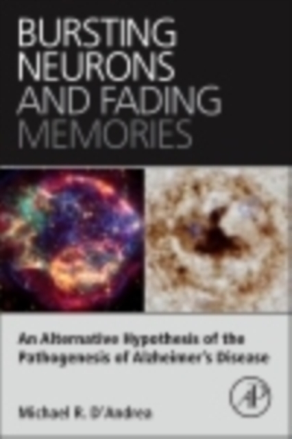 Bursting Neurons and Fading Memories
