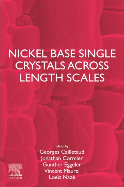Nickel Base Single Crystals Across Length Scales