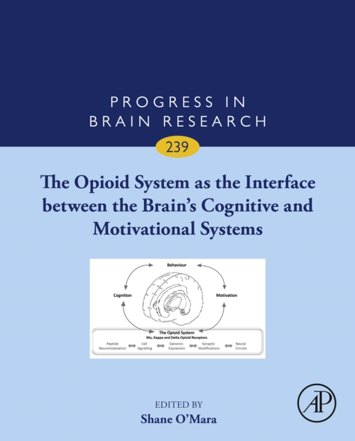 Opioid System as the Interface between the Brain's Cognitive and Motivational Systems