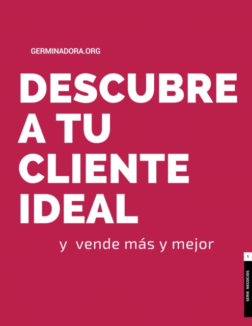 Descubre a tu Cliente Ideal y Vende Mas y Mejor