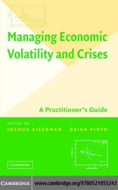 Managing Economic Volatility and Crises