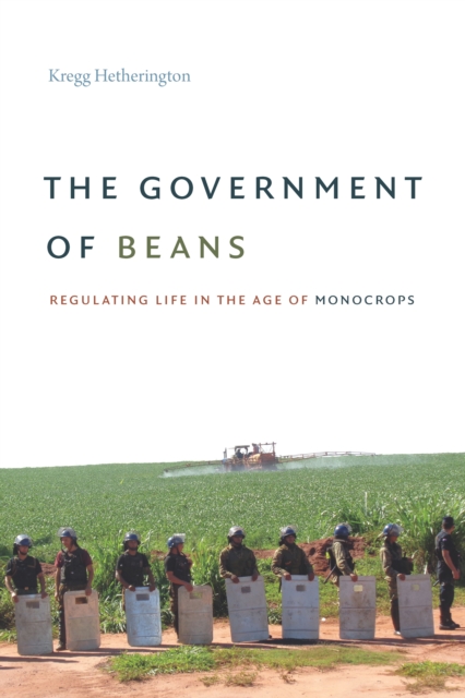 Government of Beans