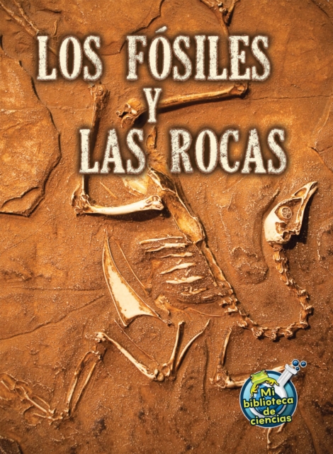 Los fosiles y las rocas