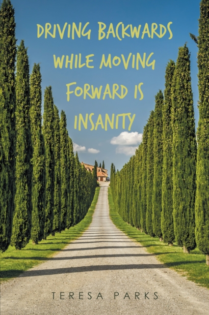 Driving Backwards While Moving Forward Is Insanity