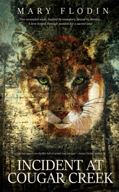 Incident at Cougar Creek