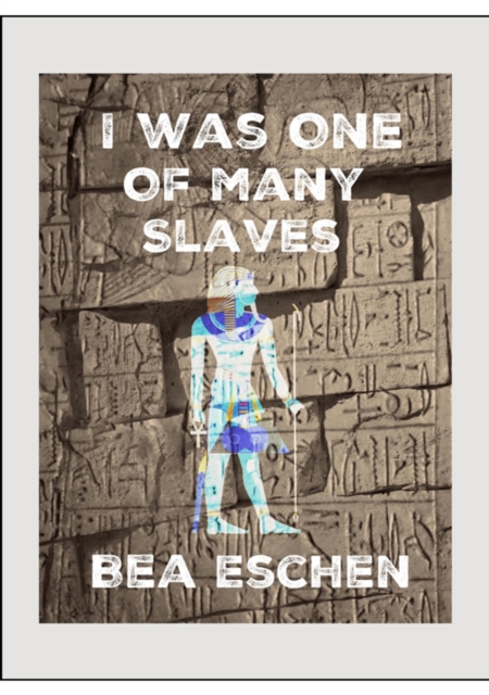 I Was One Of Many Slaves