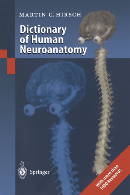 Soft Tissue Biomechanical Modeling for Computer Assisted Surgery