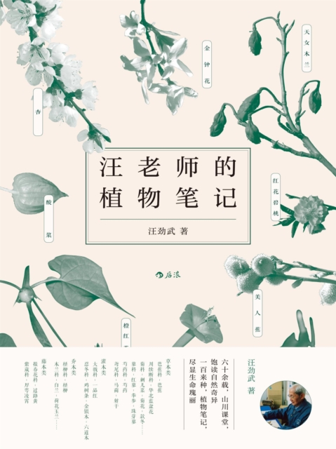 汪老师的植物笔记