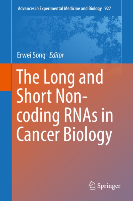 Long and Short Non-coding RNAs in Cancer Biology