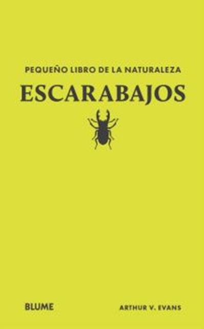 Escarabajos