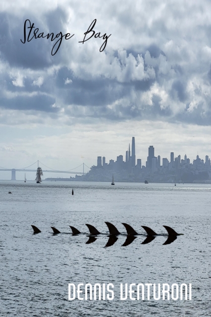 Strange Bay