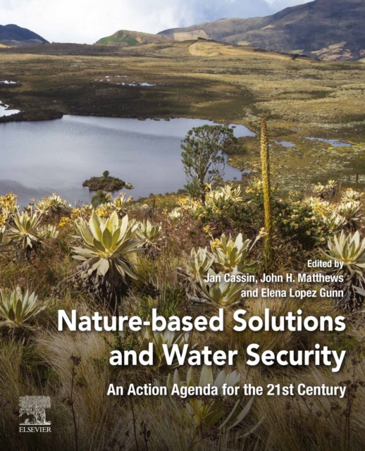 Nature-Based Solutions and Water Security