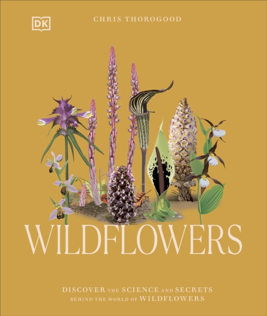 Wildflowers