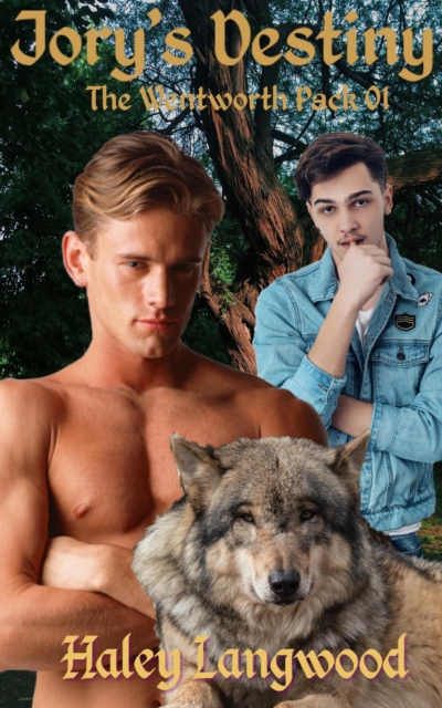 Wentworth Pack 01 Jory's Destiny