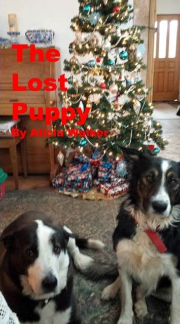 Lost Puppy