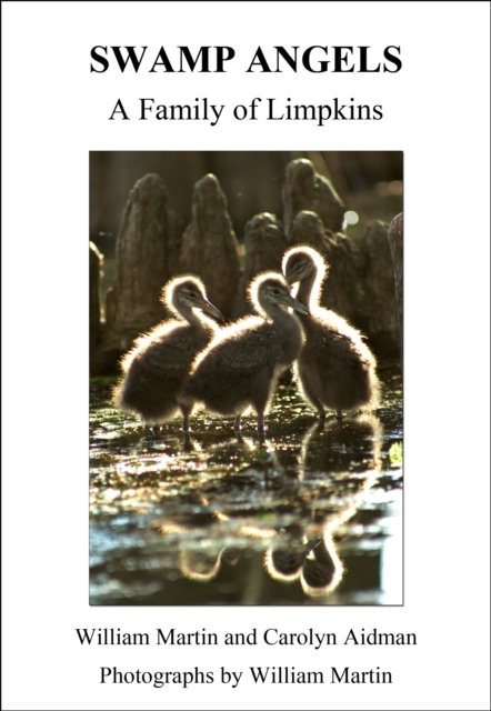Swamp Angels: A Family of Limpkins