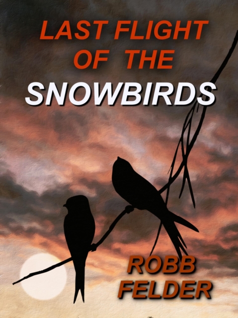 Last Flight Of The Snowbirds