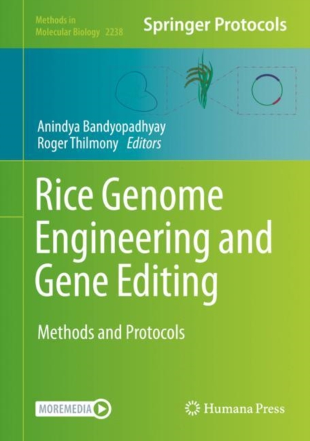 Rice Genome Engineering and Gene Editing