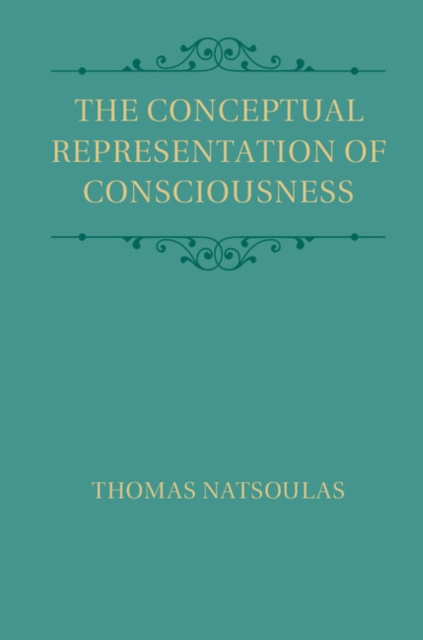 Conceptual Representation of Consciousness