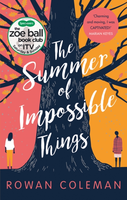 Summer of Impossible Things