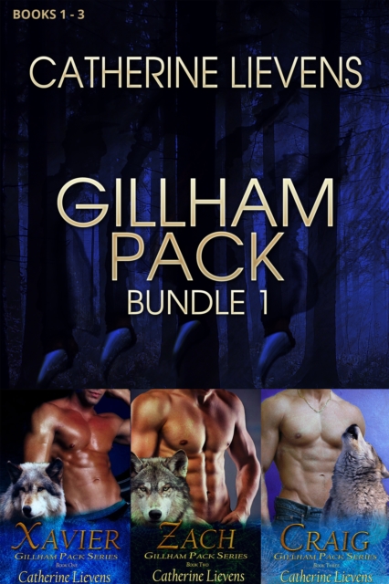 Gillham Pack Bundle 1