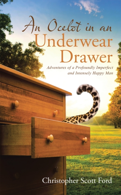 Ocelot in an Underwear Drawer