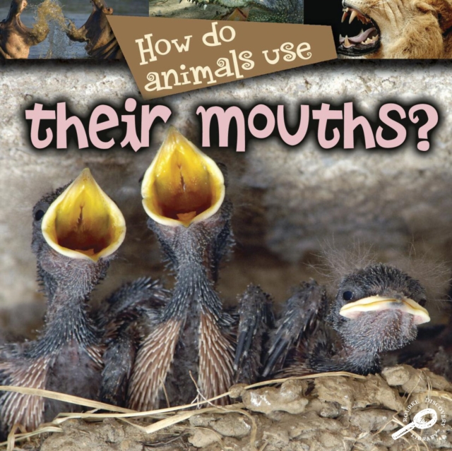 How Do Animals Use... Their Mouths?