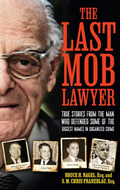 Last Mob Lawyer