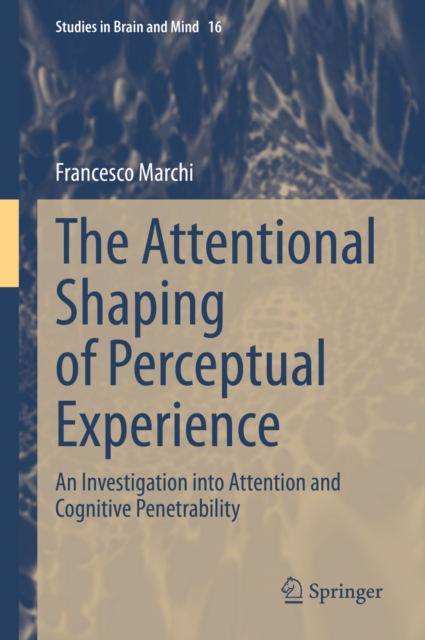 Attentional Shaping of Perceptual Experience
