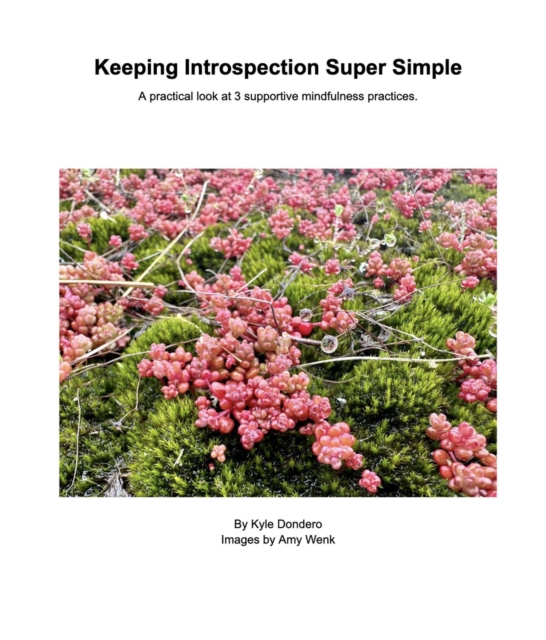 Keeping Introspection Super Simple