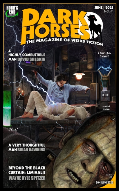 Dark Horses: The Magazine of Weird Fiction No. 41 / June 2025