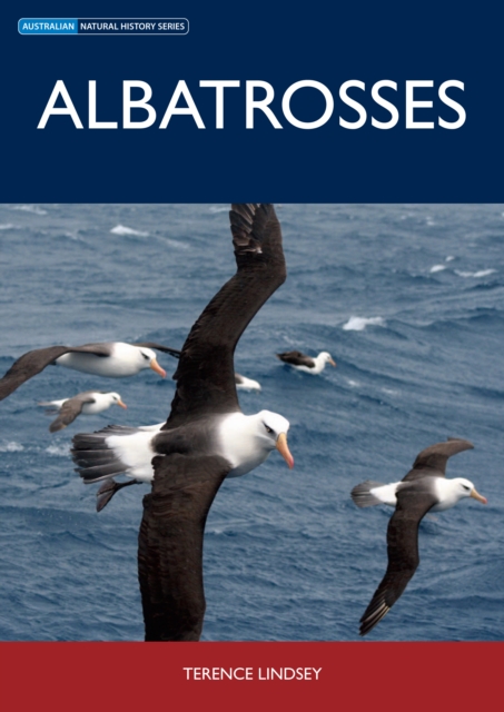 Albatrosses