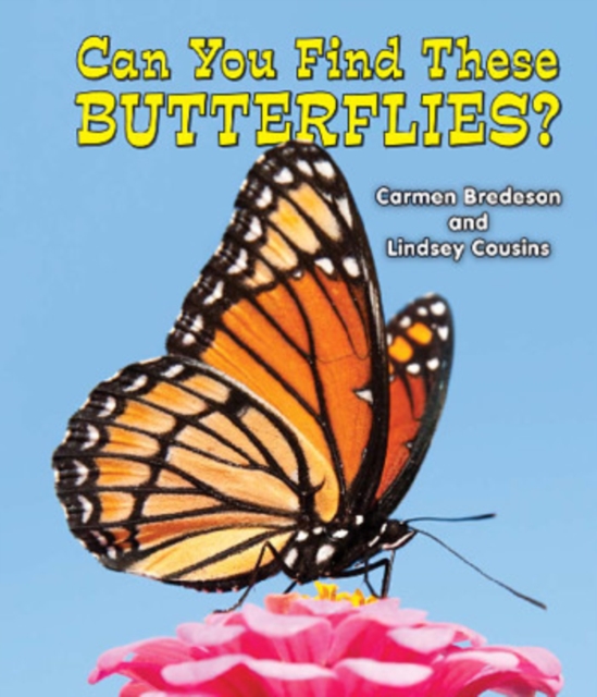 Can You Find These Butterflies?