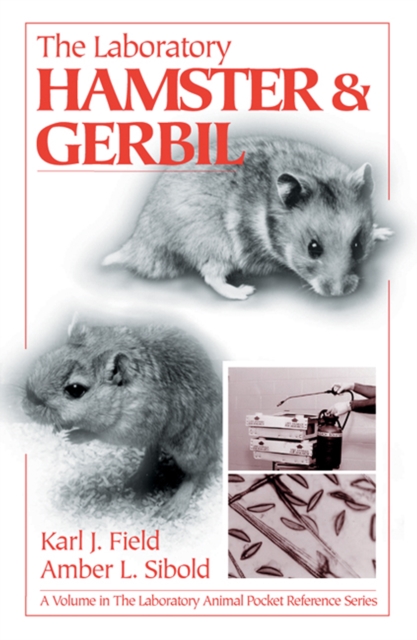 LaboratoryHamster and Gerbil