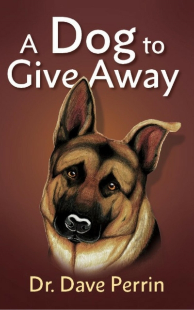 Dog to Give Away