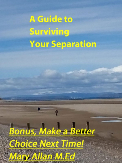 Guide To Surviving Your Separation