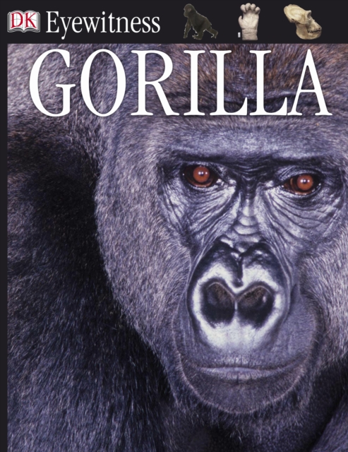 Gorilla