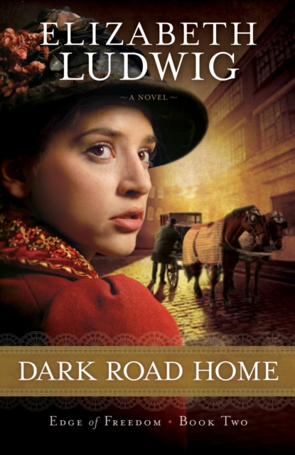 Dark Road Home ( Book #2)